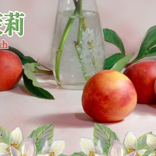 糖巢Sugar Nest https://mikeymcq5.com @mikeymcq