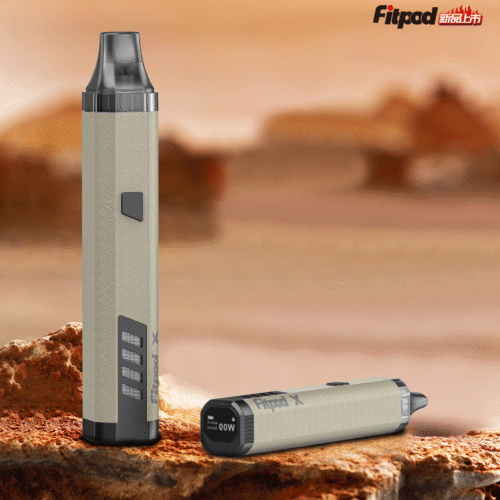 slyeek3岩灰色 原廠正品 Slyeek 3 Fitpod X 斯萊克 3 雷標版 🔥新色上架 土豪金 碳纖維